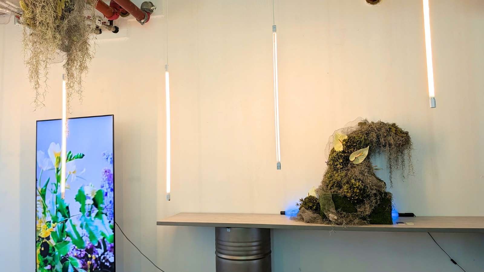 Florale Gestaltung für Galerien & Ausstellungen