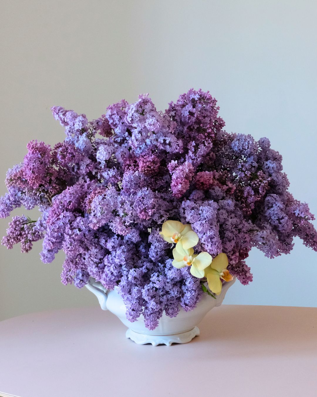 Lilac & Bergamot 4