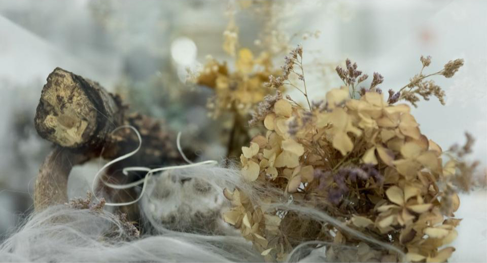 Florale Szenografie & Rauminszenierung